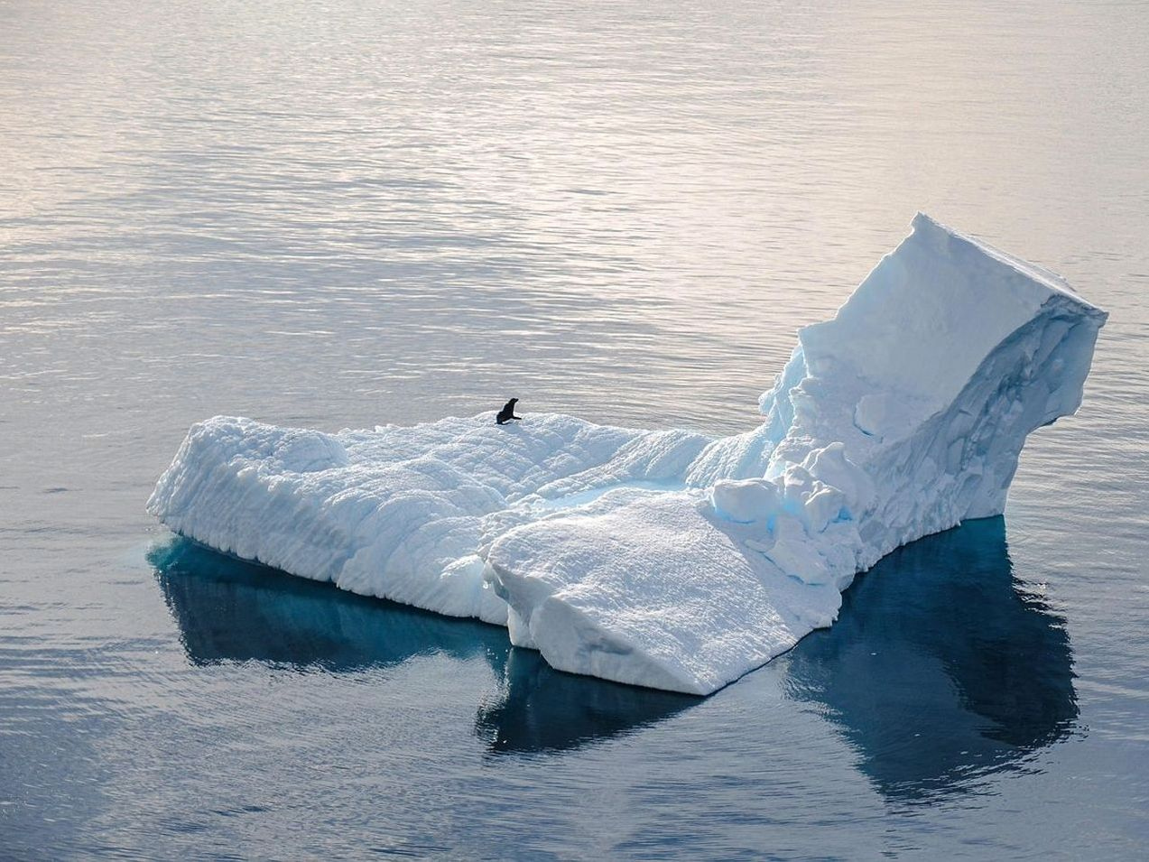 Buz balıkçılarının sahil kulübünde toplanması